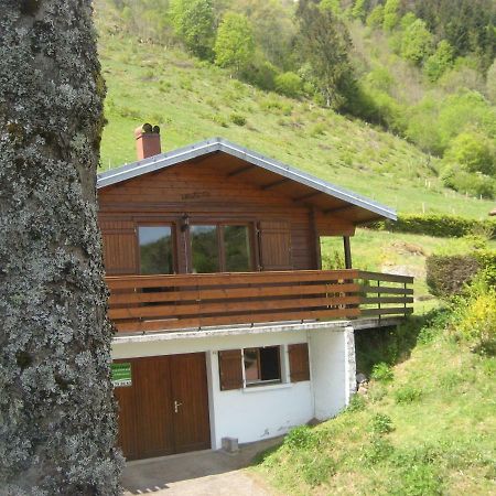 Chalet Les Jonquilles La Bresse Buitenkant foto